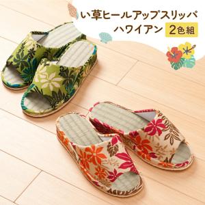 来客用スリッパ イ草 いぐさ 天然素材 畳 たた...の商品画像