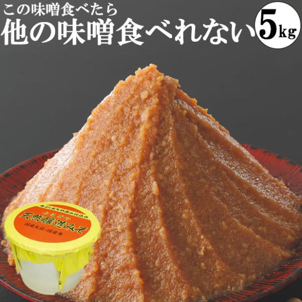 味噌 化学調味料無添加味噌 手作り味噌 グルテンフリー  ヴィーガン 5kgポリ樽