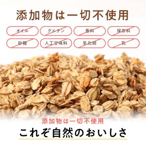 グラノーラ 無添加 米麹グラノー ラ トトノイ...の詳細画像4