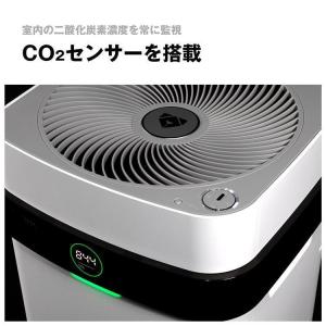 NEW新登場Airdog X5D エアドッグ ...の詳細画像3