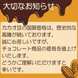 (国産)コインチョコレート(小)<業務用>50...の詳細画像2