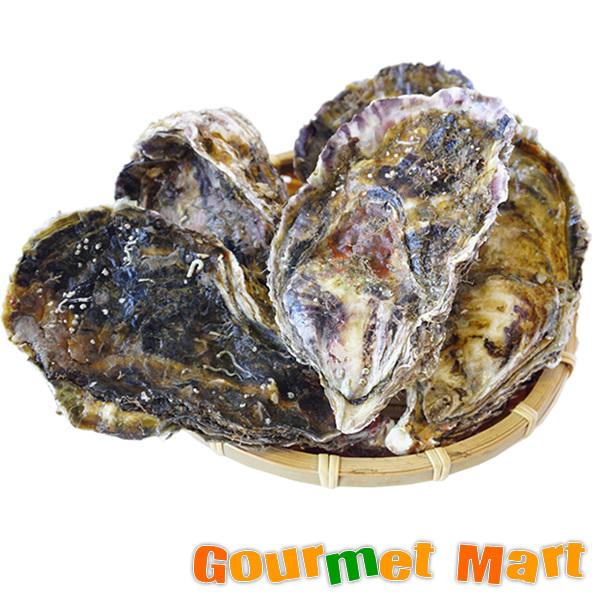 弁天かき A2(Mサイズ)30個セット 北海道産 牡蠣 カキ 殻付き 生食 母の日 ギフト 送料無料