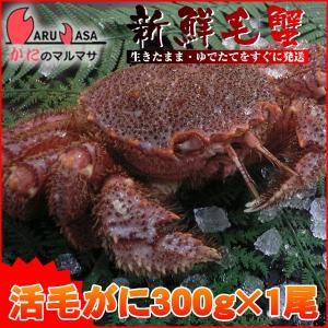 （かに・蟹・カニ）北海道産 活毛がに 300g