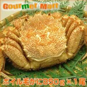 翌々日便対応！ボイル毛がに 850g×1尾 北海道産 特大 ジャンボ 毛蟹 毛ガニ かに カニ 蟹 道産品 お中元 ギフト