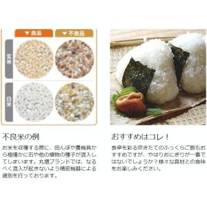 【ほしじるし玄米30kg】新米 令和7年度 埼...の詳細画像4