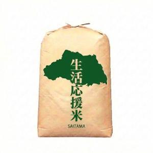 コシヒカリ 新米 滋賀県 令和8年度産 「近江米コシヒカリ 10kg」 米