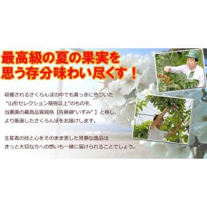【送料無料】予約 6月上旬発送予定 ギフト さ...の詳細画像2