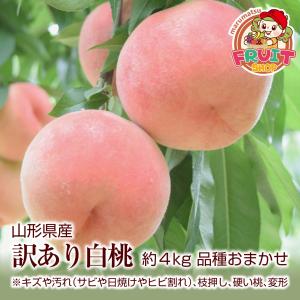 白桃 送料無料 訳あり！山形県産「白桃」品種、サイズおまかせ 約4kg