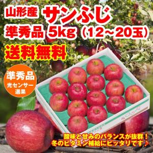 りんご 送料無料 山形県産 サンふじ 5kg（12-20玉）