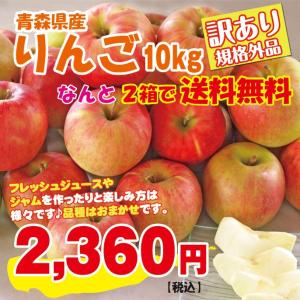 りんご 訳有り 青森県産 ふじりんご 10kg(サイズおまかせ) 規格外品 小傷色ムラ変形等あり 同一住所へ2箱同梱お届けで送料無料