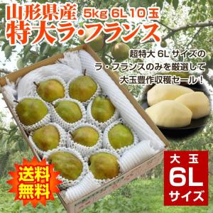 ギフト ラ・フランス  洋梨 山形県産 5kg（10玉入） 特大