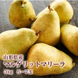 【送料無料】山形産 西洋梨 マルゲリットマリーラ 3kg(5-8玉) ギフト 洋梨