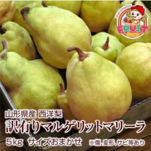 【再販！】【前払い不可】訳有り 送料無料 山形産 西洋梨 マルゲリットマリーラ 5kg(サイズおまかせ) ※傷、変形、サビ等あり 洋梨