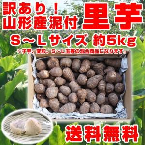 【送料無料】里芋 訳有り 山形県産 お徳用 ５kg(S〜Ｌサイズ) 泥付き【訳あり】｜marumatsu