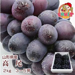 甘みは強く、酸味は適度！　ギフト ぶどう 山形県産 大粒 高尾 2kg(3-5房) 葡萄　種なし【限定50箱】