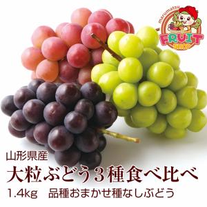 ３種類の大粒ぶどうが一度に食べられる！ギフト ぶどう 【限定50箱】山形県産大粒ぶどう３種食べ比べ（1.4kg） 葡萄 種なし・品種おまかせ