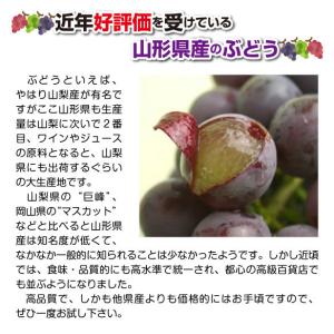 3種類の大粒ぶどうが一度に食べられる!ギフト ...の詳細画像1