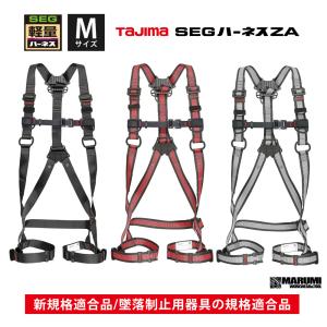 タイタン 【タイタン TITAN】新規格 リコロN 2丁掛けセット【胴ベルト