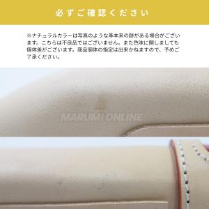 ニックス 腰道具 KNICKS TIT-302...の詳細画像5
