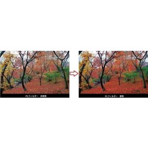 棚ずれ品 マルミ marumi 77mm EX...の詳細画像2