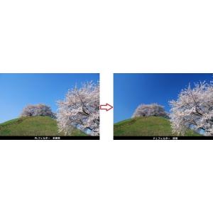 棚ずれ品 マルミ marumi 77mm EX...の詳細画像3