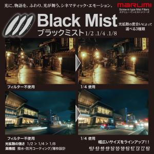 82mm ブラックミスト 1/4 BLACK ...の詳細画像3