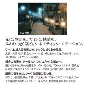 82mm ブラックミスト 1/4 BLACK ...の詳細画像5