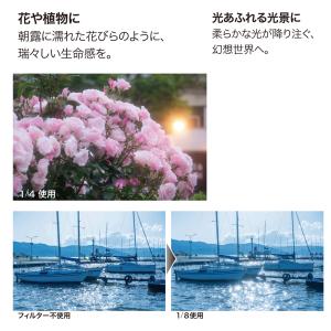 82mm ホワイトパウダーミスト1/4 WHI...の詳細画像4