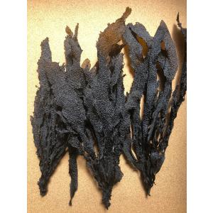 とろろめ(かじめ) 30gの詳細画像1