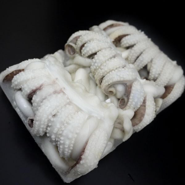 【イカ専門店】紋甲イカゲソ　2/4（２−４尾／1kg）下足　げそ　A01610