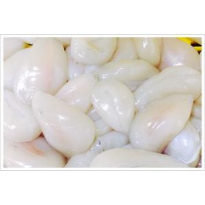 紋甲イカチチ(1kg×10入)　A01014