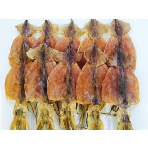 北海するめ１０枚入（約３２０ｇ）　北海道産！　【ネコポス便で送料無料！】スルメ