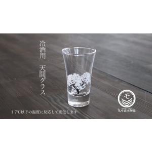 冷感 桜 天開グラス ペア セット おしゃれ 酒器 温度