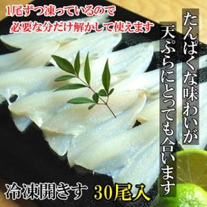 送料無料 冷凍キス開き 30尾入10ケース300尾