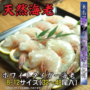 海鮮 えび ホワイトタイガーエビ(無頭)8/12サイズ