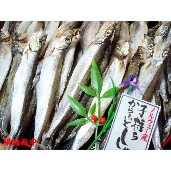 訳あり 子持ちししゃも丸干し１ｋｇ（45尾前後） こもちししゃも シシャモ