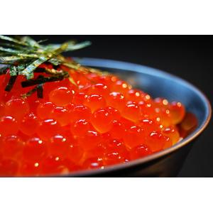 いくら醤油漬け500g イクラ