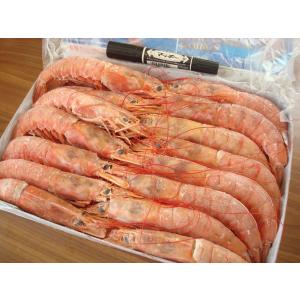 送料安い！赤海老2ｋｇ(30尾前後 最大級) 赤えび 赤エビ