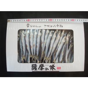うるめ丸干し（大）1ｋｇ 噛めば噛むほど旨味！ウルメ