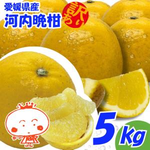 訳あり 河内晩柑 ５ｋｇ かわちばんかん、みしょうゴールド、美生柑、愛南ゴールド、宇和ゴールド、ジューシーオレンジ、ナダオレンジ、みしょうゴールド