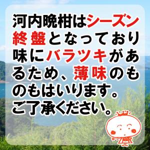 訳あり 河内晩柑 5kg かわちばんかん、みし...の詳細画像1