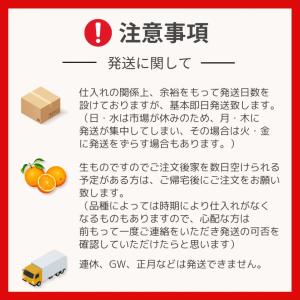 訳あり 実がぎっしり! 河内晩柑 小さめ 10...の詳細画像2