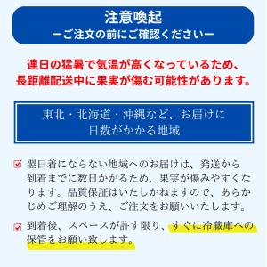 訳あり 実がぎっしり! 河内晩柑 小さめ 10...の詳細画像3