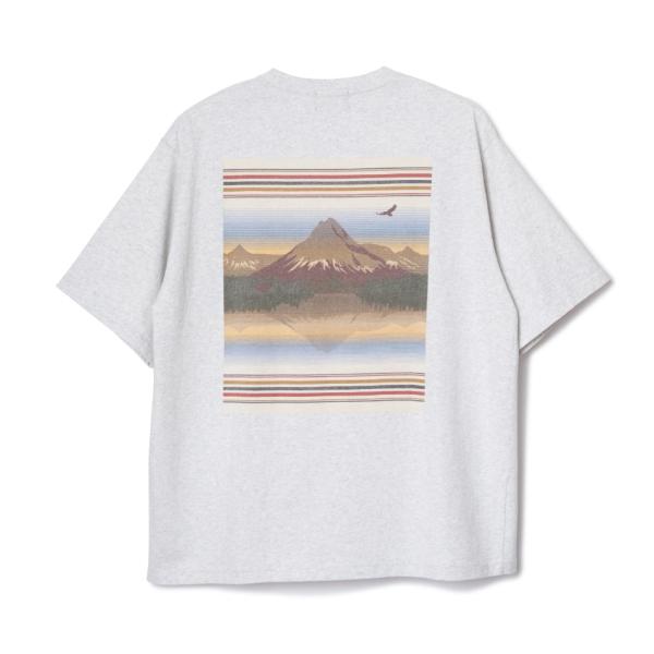 PENDLETON ペンドルトン / バックプリント・ティ 6275-4003　col 19(Bir...