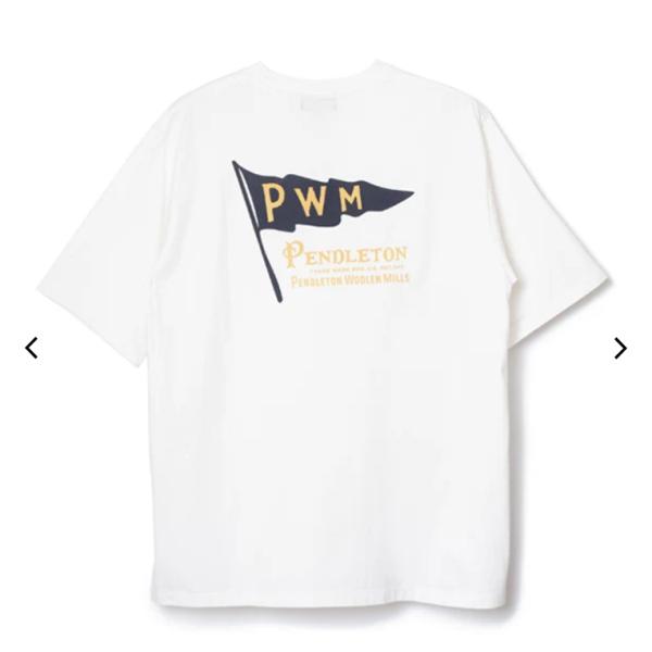 PENDLETON ペンドルトン / ナショナルパークガーメントダイ バックプリントTシャツ 627...