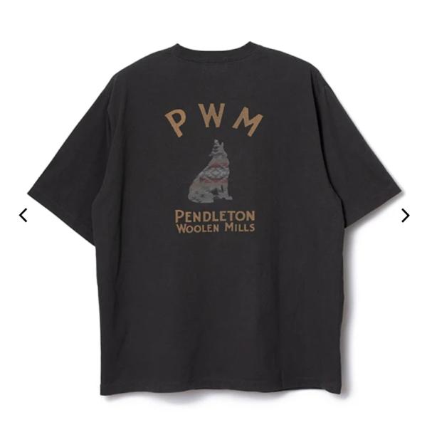 PENDLETON ペンドルトン / ナショナルパークガーメントダイ バックプリントTシャツ 627...