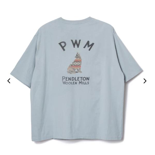 PENDLETON ペンドルトン / ナショナルパークガーメントダイ バックプリントTシャツ 627...
