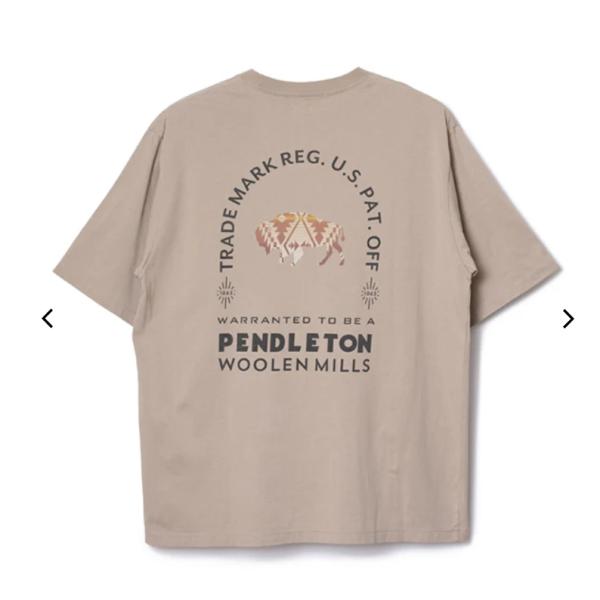 PENDLETON ペンドルトン / ナショナルパークガーメントダイ バックプリントTシャツ 627...