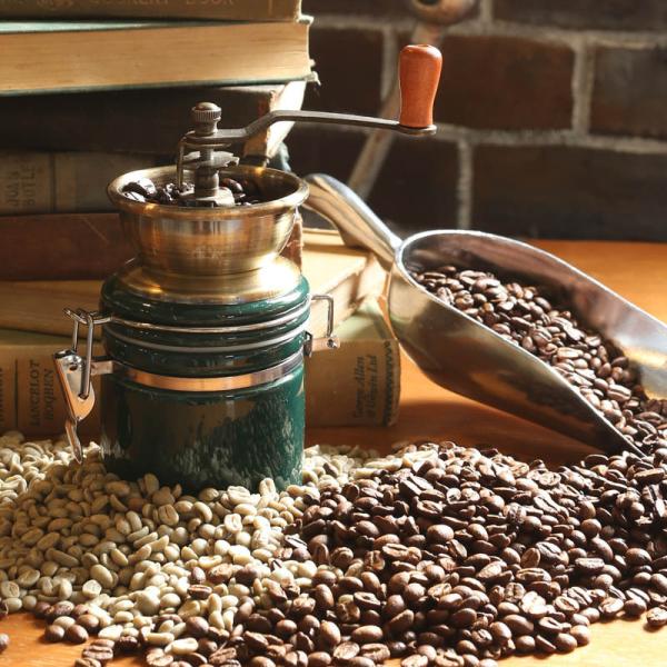 DULTON ダルトン COFFEE MILL ''TERRA'' コーヒーミル 手動 調整可 かっ...