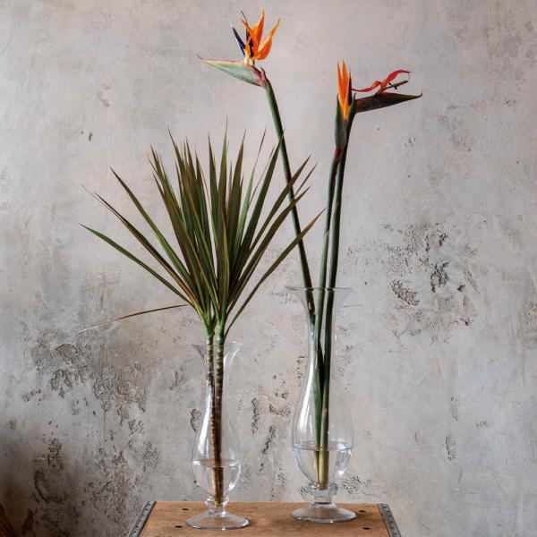 DULTON ダルトン GLASS VASE ALTO H305 グラス ベース アルト 花瓶 ユニ...